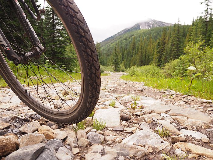 best bike for great divide trail