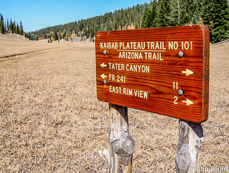 If You Don't Have Time for a Long Thru-Hike, the Arizona Trail Is