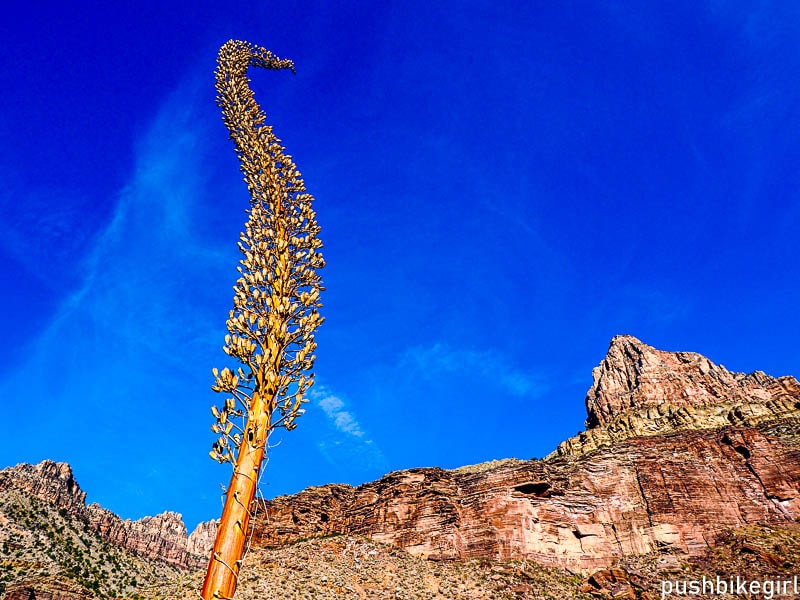 If You Don't Have Time for a Long Thru-Hike, the Arizona Trail Is a  Perfect—and Spectacular—Shorter Trek