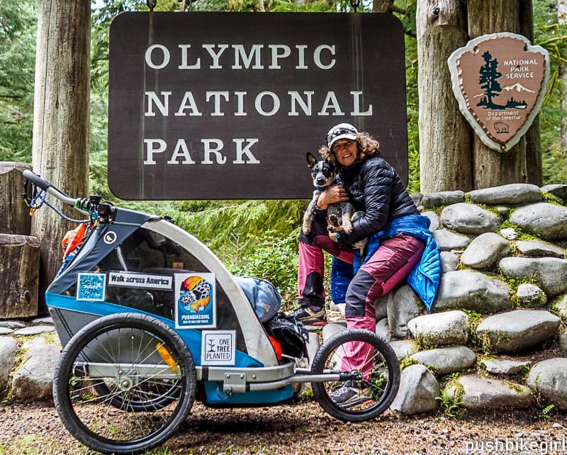 Nr.100 Walk across America – Aller Anfang ist schwer –  mit einem Welpen im Schlepptau durch den Staat Washington – fürs Klima und den Artenschutz