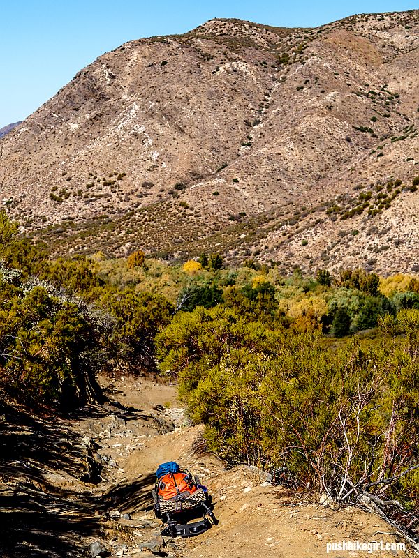 Walking through the fantastic scenery of Baja California Mexico