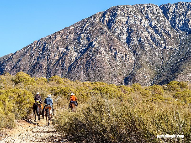 Walking through the fantastic scenery of Baja California Mexico