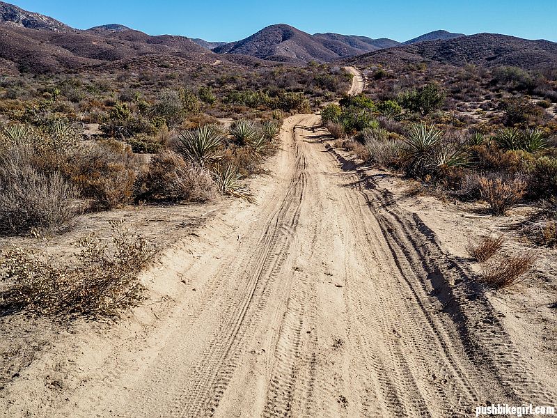 Walking through the fantastic scenery of Baja California Mexico