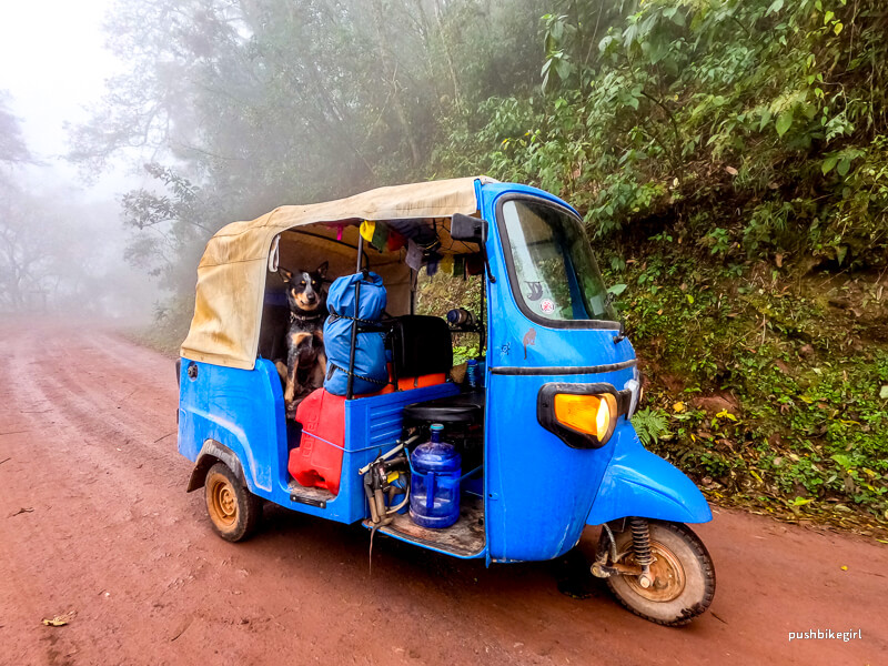 Oh, you beautiful Argentina. Traveling with a Tuk-Tuk and a dog through South America