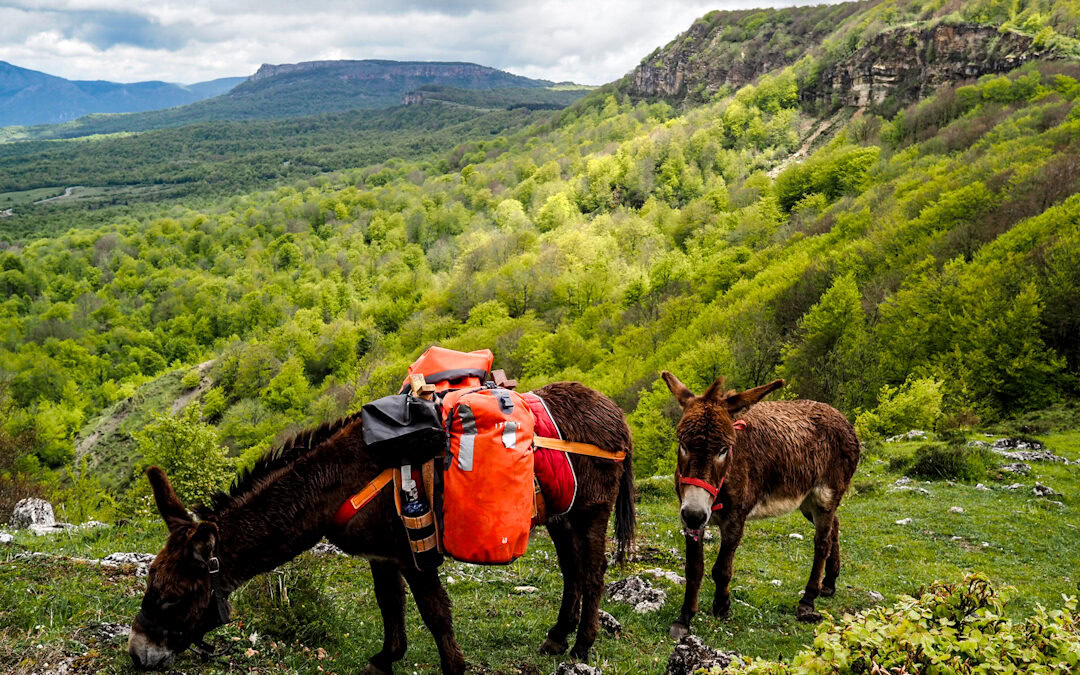 Mit zwei Eseln auf Wanderschaft im Baskenland – ein echtes Abenteuer