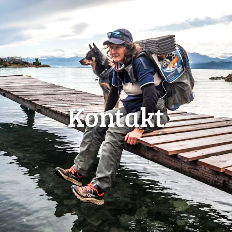 Kontakt